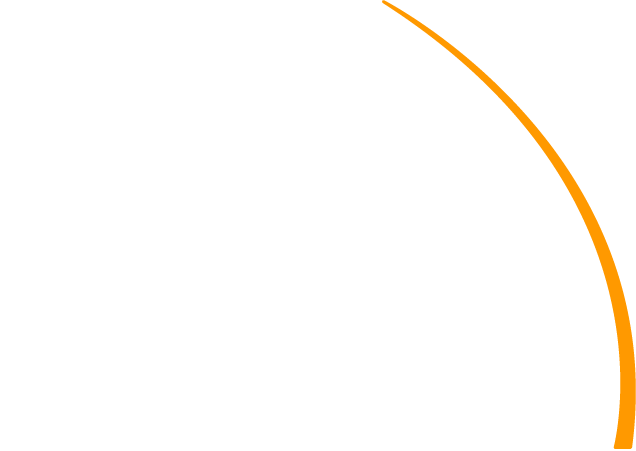 The Animonautes