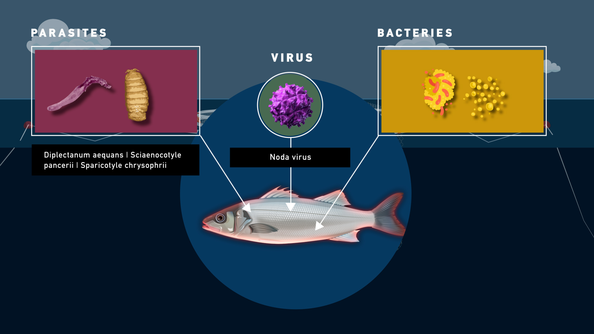 Surveillance and Management of Fish Diseases